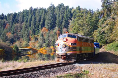 A vintage train travels along a scenic track beside a forested area and a calm body of water, surrounded by autumn colors.
