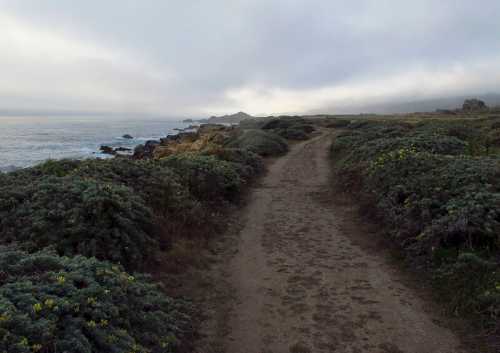 A sandy path winds through lush greenery along a coastal landscape under a cloudy sky.