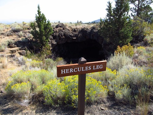 A wooden sign reading "Hercules Leg" in front of a cave entrance, surrounded by shrubs and wildflowers.
