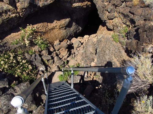 A metal ladder leads down into a rocky cave entrance surrounded by sparse vegetation.