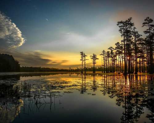 Sunset over a tranquil lake, with silhouetted trees reflecting on the water's surface and a colorful sky.