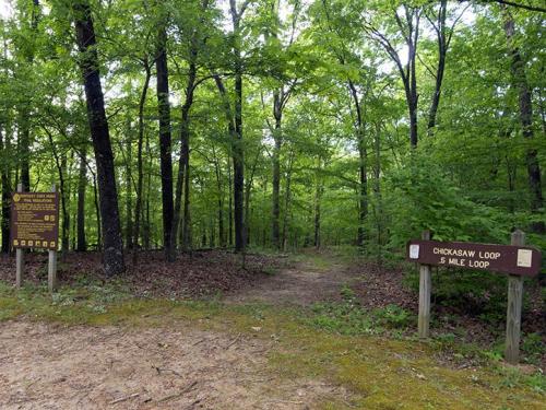 Trailhead in a lush green forest, with signs for the Chickasaw Loop 5-mile trail.