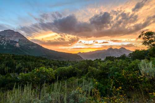 A vibrant sunset over mountains, with lush greenery and colorful clouds filling the sky.