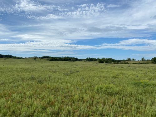 A wide, open field of green grass under a blue sky with scattered clouds and distant trees.