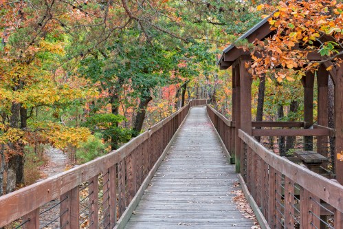 A wooden walkway surrounded by colorful autumn trees leads to a gazebo in a serene forest setting.