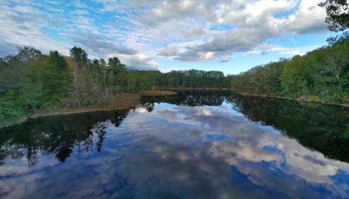 A serene lake reflecting clouds and trees under a blue sky, surrounded by lush greenery.