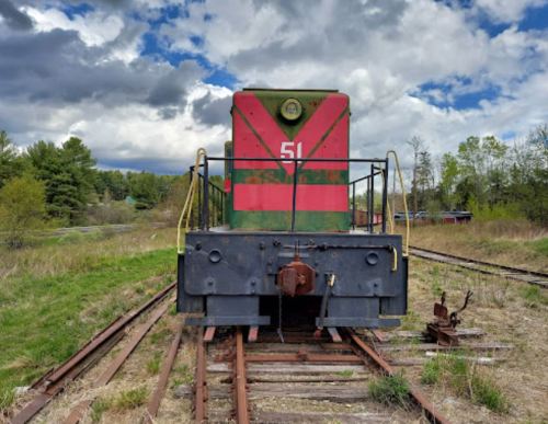 A vintage green and red locomotive stands on overgrown tracks under a cloudy sky, surrounded by trees.
