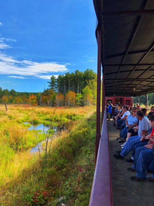 A scenic view from a train with passengers seated, surrounded by lush greenery and a calm pond under a blue sky.