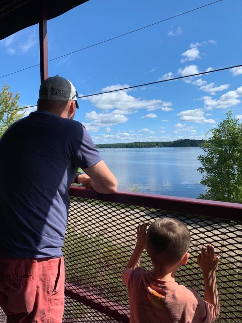 A man and a child gaze out over a calm lake under a blue sky with fluffy clouds.