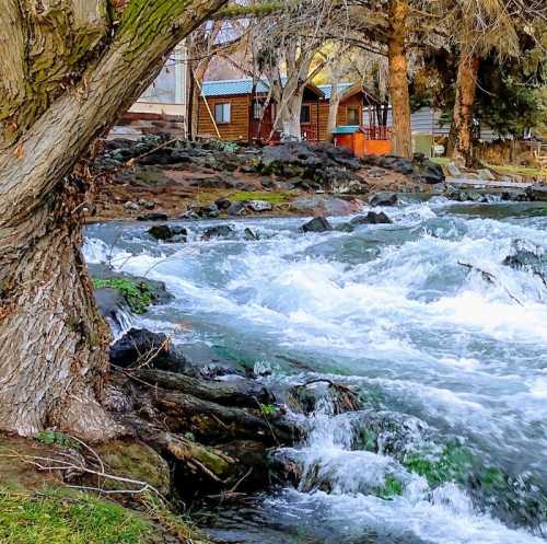 A flowing river with rocky banks, surrounded by trees and rustic cabins in a serene natural setting.