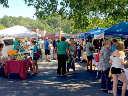 A bustling farmers market with vendors, tents, and shoppers enjoying fresh produce and local goods.