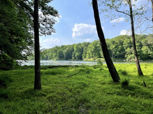 A serene landscape featuring a lush green meadow, trees, and a calm lake under a blue sky with fluffy clouds.