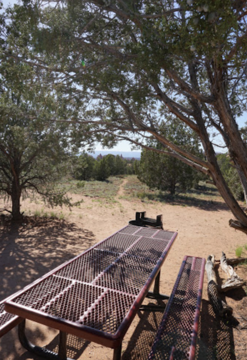 A picnic table under a tree in a sandy area, with a path leading into the distance and greenery surrounding it.