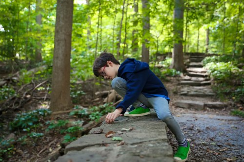 A young boy in a blue hoodie crouches on a stone path in a lush green forest, examining something on the ground.