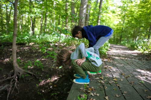 Two children crouch on a wooden path in a lush green forest, peering into a small creek below.