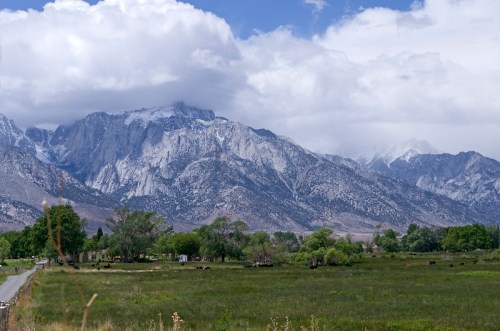A scenic view of rugged mountains under a cloudy sky, with a green field and trees in the foreground.