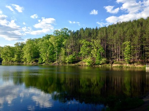 A serene lake surrounded by lush green trees and a clear blue sky with fluffy clouds reflected in the water.