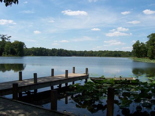 A serene lake scene with a wooden dock, surrounded by lush greenery and blue skies with fluffy clouds.