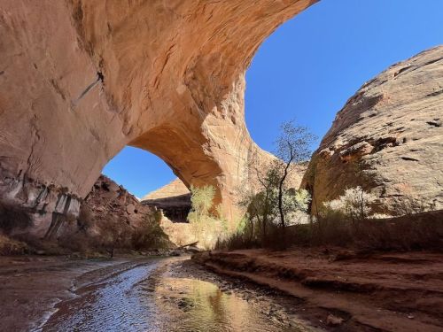 A stunning rock arch rises above a dry riverbed, framed by blue sky and desert vegetation.