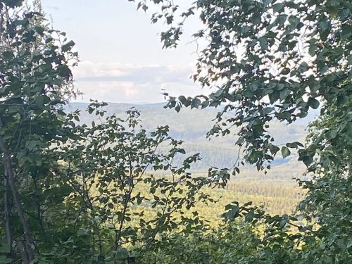 A scenic view of rolling hills and trees framed by green leaves under a partly cloudy sky.