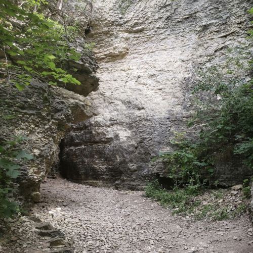 A rocky cliffside with greenery, featuring a narrow path leading into a cave-like opening.