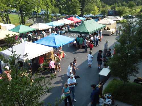 A bustling outdoor market with colorful tents, people browsing, and greenery in the background.