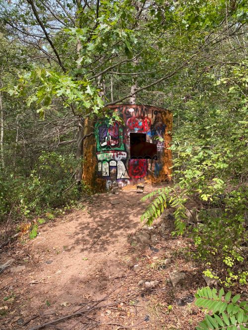 A small, graffiti-covered structure surrounded by trees and greenery on a dirt path.