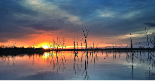 A serene sunset over a calm lake, with silhouetted trees reflecting on the water's surface.