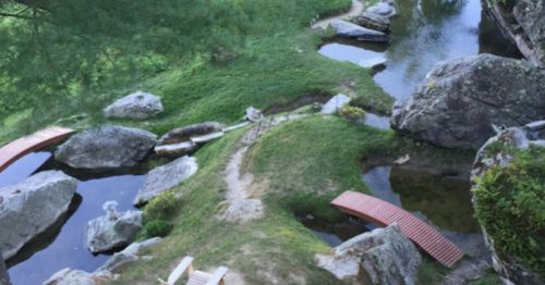A serene landscape featuring a winding stream, rocks, and wooden bridges surrounded by lush greenery.
