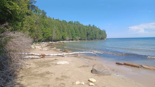A serene beach scene with sandy shore, scattered rocks, and lush green trees along the water's edge under a clear blue sky.