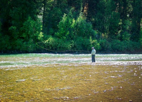 A person fly fishing in a river surrounded by lush green trees on a sunny day.