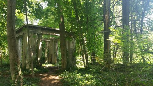 Overgrown ruins of a stone structure surrounded by lush green trees and foliage.