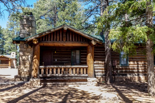A rustic log cabin with a stone chimney, surrounded by tall trees and a sandy area in front.