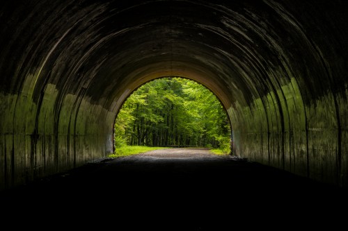 A dark tunnel opening revealing a lush green path surrounded by trees.