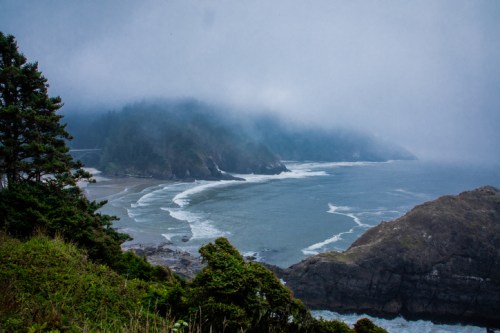 Foggy coastal landscape with waves crashing on rocky shores and lush greenery in the foreground.