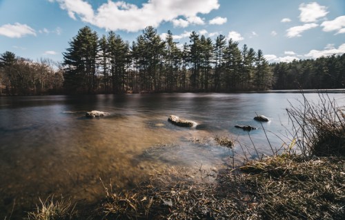 A serene lake surrounded by trees, with rocks partially submerged in the water under a blue sky with clouds.