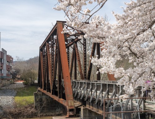 A rusted metal bridge spans a river, framed by blooming cherry blossom trees and buildings in the background.