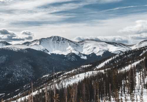 Snow-covered mountains under a cloudy sky, with a foreground of evergreen trees and a winter landscape.