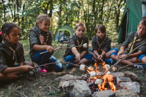 Children in scout uniforms roast marshmallows over a campfire in a forested area, with tents in the background.