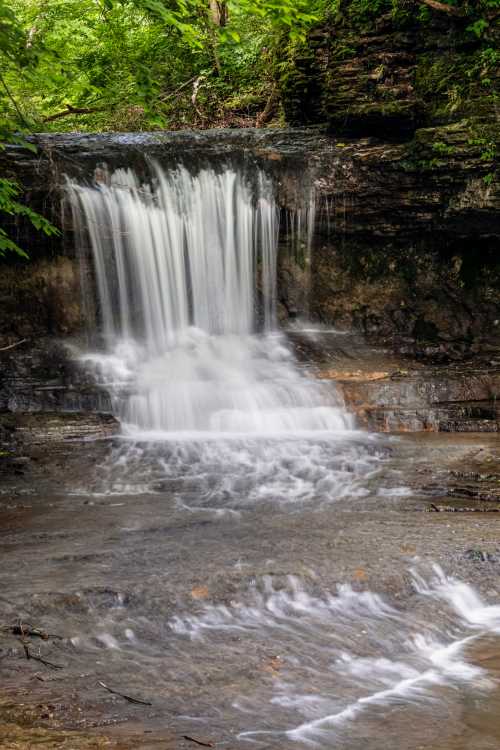 A serene waterfall cascading over rocks into a clear stream, surrounded by lush green foliage.