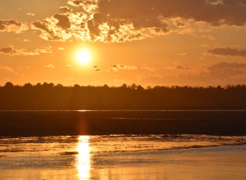 A serene sunset over a calm water body, with silhouettes of birds flying against a golden sky.
