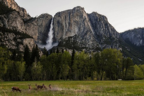 A waterfall cascades down a rocky cliff, surrounded by lush trees and a meadow with deer grazing in the foreground.