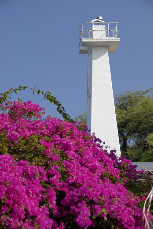 A tall white lighthouse stands behind vibrant pink bougainvillea flowers against a clear blue sky.