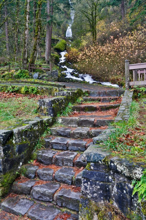 Stone steps lead through a lush forest, with a waterfall visible in the background among trees and greenery.