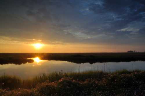 A serene landscape at sunset, with a reflective pond surrounded by grass and flowers under a colorful sky.