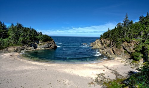 A serene beach cove surrounded by lush green trees and rocky cliffs, with calm blue waters under a clear sky.