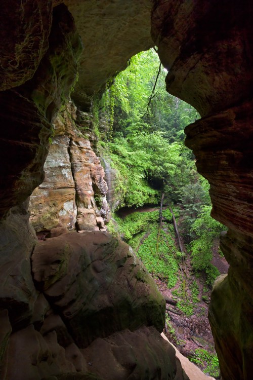 A view from a rocky cave opening, showcasing lush green trees and a serene forest landscape below.