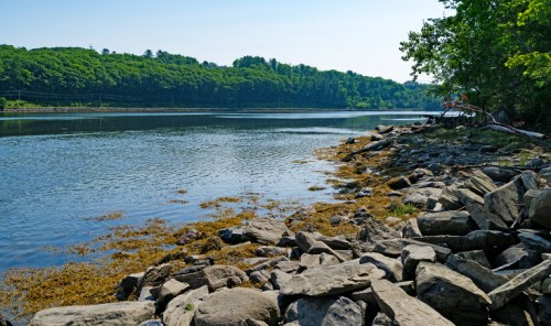 A serene riverbank scene with rocky shores and lush green trees lining the water under a clear blue sky.