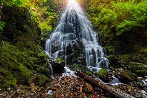 A serene waterfall cascading over moss-covered rocks, surrounded by lush greenery and sunlight filtering through the trees.