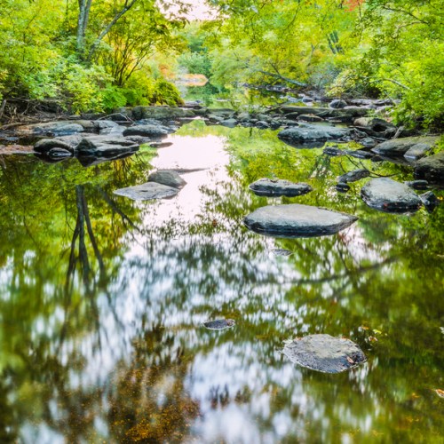 A serene river scene with smooth stones, surrounded by lush greenery and reflecting trees in the calm water.
